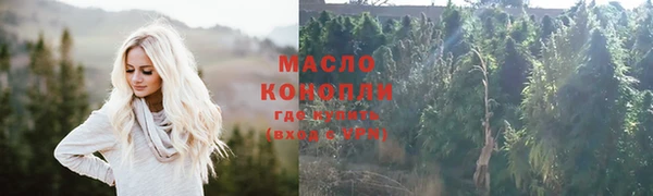 индика Наволоки