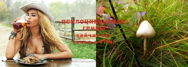 тгк Навашино