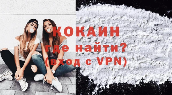 индика Наволоки