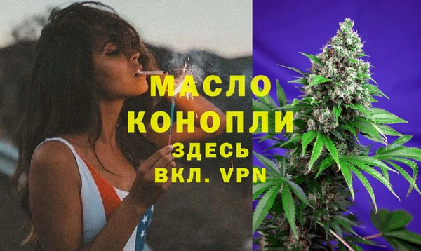 тгк Снежинск