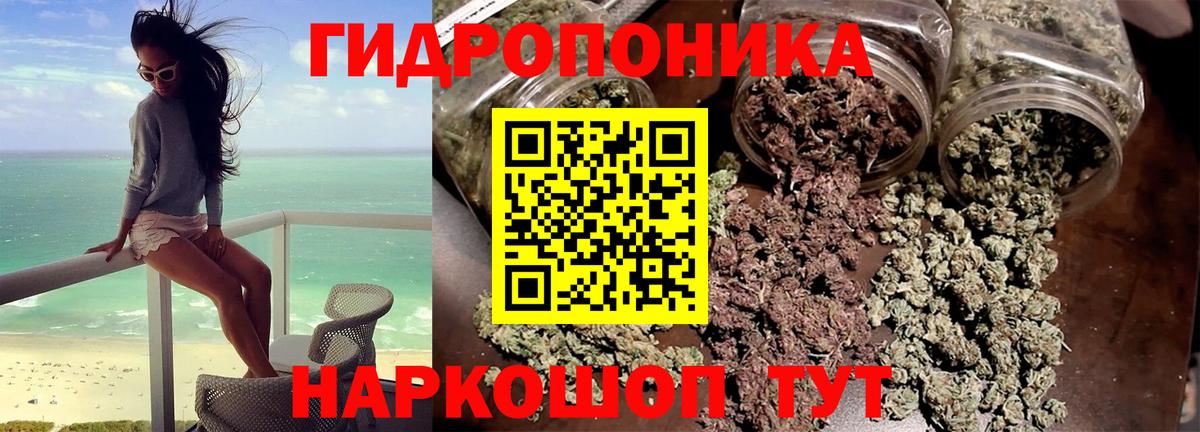 Нижний Тагил  Конопля OG Kush  Конопля сатива  Каннабис план  Марихуана LSD WEED  Вход с VPN 